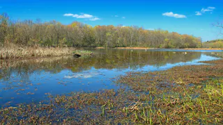 В Коми ученые-геодезисты наткнулись на останки человека