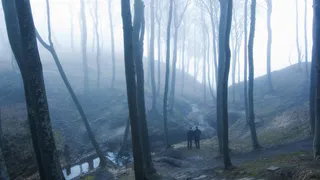 Пропавшего 16-летнего ковровчанина нашли мертвым