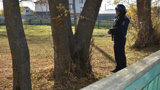 Силовики провели антитеррористические учения под Шацком