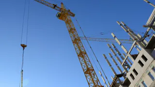 Рязань лишится зеленой зоны ради строительства школы