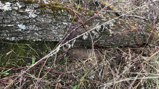 Взорвали на месте: в Рязанском районе нашли 100мм артиллерийский снаряд