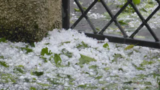 Град накроет Россию и побьет весь урожай: синоптики назвали точные даты