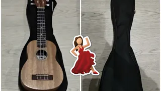 Внимание, важная новость! На Почтовой найдено укулеле