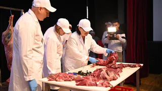 Оленеводы из Коми вошли в число лучших специалистов страны по разделке мяса
