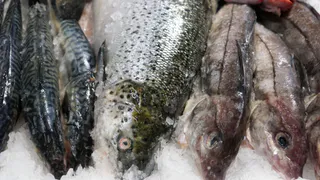 Названа самая полезная рыба - ешьте 2 раза в неделю, богата селеном, фосфором и хороша на вкус