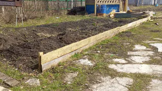 Эта дешевая крупа превратит бетонную почву в чернозем: экономно и действенно