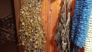 Глава Минздрава Татарстана объяснил, почему у любителей саун проверят детородные функции 