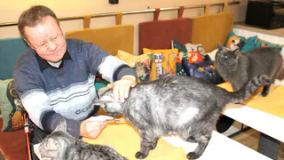 Жители Муромского пансионата приняли участие в акции помощи животным