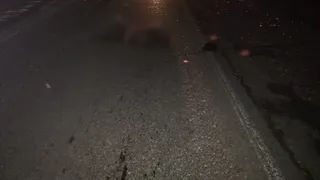 Скончалась на дороге: под Касимовом по сбитой женщине проехались дважды