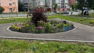 Во Владимире готовят проект озеленения сквера на пересечении улиц Труда и Каманина