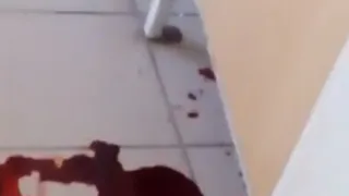 В отделении хирургии рязанского БСМП обнаружены лужи крови