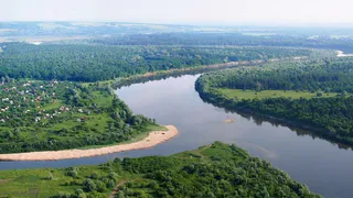 Чувашия заявила о проверке после загрязнения Алатыря и гибели рыбы