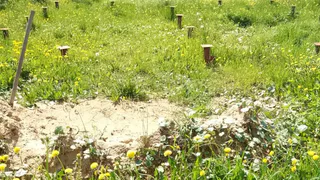 Житель Коми выплатил долги, чтобы сохранить участок земли