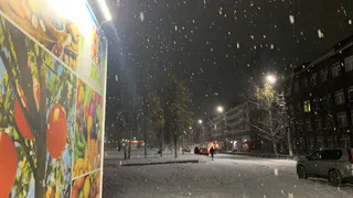 Зима в России отменяется на длительное время: Роман Вильфанд поставил жирную точку в главном споре, будет ли снег на Новый год