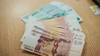 Рязанские аграрии получили господдержку в размере более миллиарда рублей