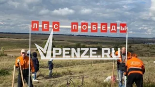 В память о павших воинах на Куликовом поле в Заре высадят саженцы дуба