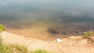 СМИ: во время купания в Борковском районе погиб пятилетний ребенок