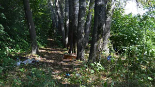 Хотели романтики, а получили труп: в Ряжске влюбленная пара во время прогулки наткнулась на бездыханное тело мужчины
