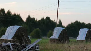 В Коми сгорело 60 тонн сена в ООО "Пригородный"