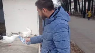 В Рязанском кремле фотографы с голубями обманули семью на 3 тыс. рублей