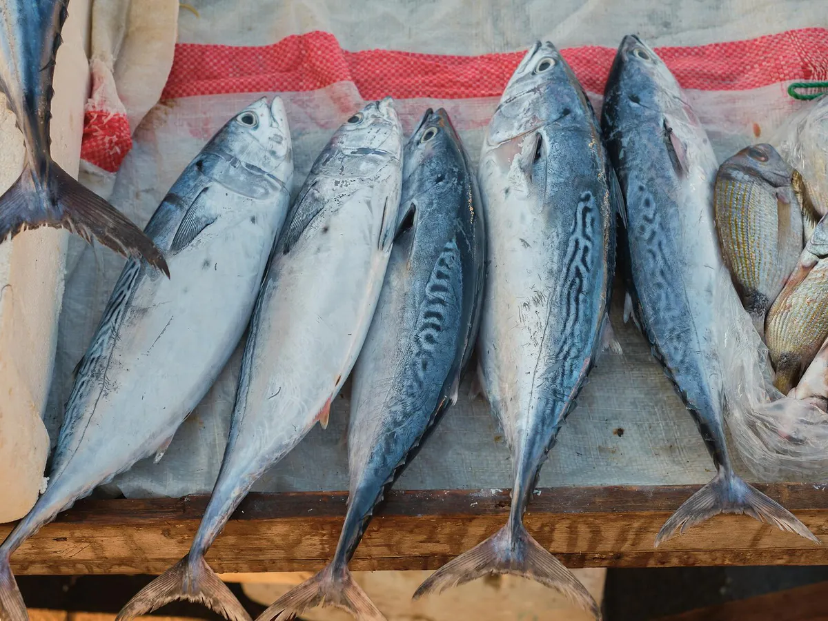 Это самая полезная для человека рыба - ешьте дважды в неделю: богата селеном, фосфором и хороша на вкус