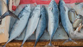Это самая полезная для человека рыба - ешьте дважды в неделю: богата селеном, фосфором и хороша на вкус