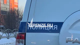 Целилась в мужа, а попала в детей: пьяная зареченка суть не покалечила подростков