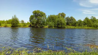 МЧС Рязанской области предупредило жителей о жаре до +32