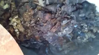 В Рыбном разрастается свалка трупов животных