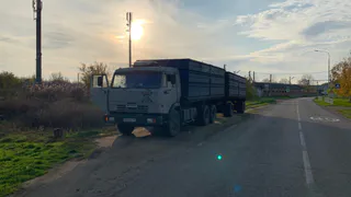 В Пензенской области проверили ввоз подкарантинной продукции в январе