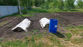 Соседи смеялись над моей ржавой бочкой — а теперь просят сделать такое же приспособление. Дачники точно оценят