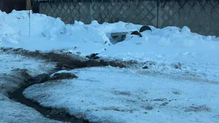 Чья территория? От проблемного участка в Нижнекамске все открещиваются