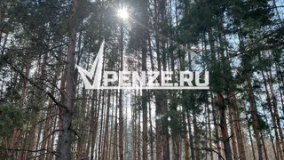 В Кондоле начали сажать «Сад Памяти»