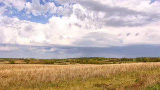В рейтинге регионов по площади пустующих сельхозземель Татарстан занял 7 место