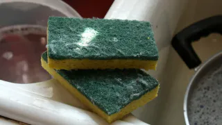 Выкинула вонючие губки для посуды навсегда: нашла идеальную замену вообще без затрат — необычное, но гениальное решение