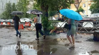 Эти трое заберут золотой билет: Володина назвала знаки, которым повезет в лотерее 10 июня