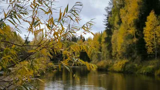 В Коми 9 октября ожидаются переменная облачность и небольшие осадки