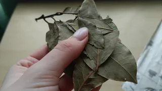 Зачем советские хозяйки клали в сахар лавровый лист? Очень полезная хитрость - но о ней мало кто знает