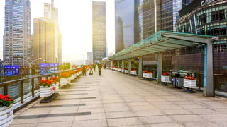 Самые абсурдные вещи, которые "нормальны" в ОАЭ