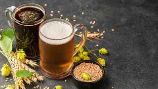 В Чувашии создадут новые сорта горького, ароматного и крафтового хмеля