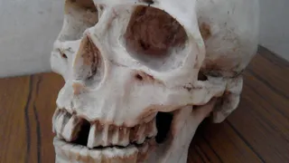 На нем была мужская одежда: в рязанском поселке обнаружили человеческие останки