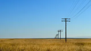 Челябинская область поставила рекорд по масличным культурам