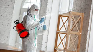 В Роспотребнадзоре заявили о необходимости усилить профилактику клещевых инфекций в Магнитогорске