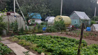 Дачники схватились за сердце: Вмиг лишатся земли все, у кого участок в собственности - новое жесткое правило с 24 июня