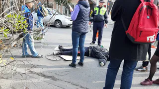 Рабочий пилил дерево на улице Маяковского и едва не погиб под ним