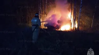 В Меленковском районе автомобиль загорелся после съезда в кювет
