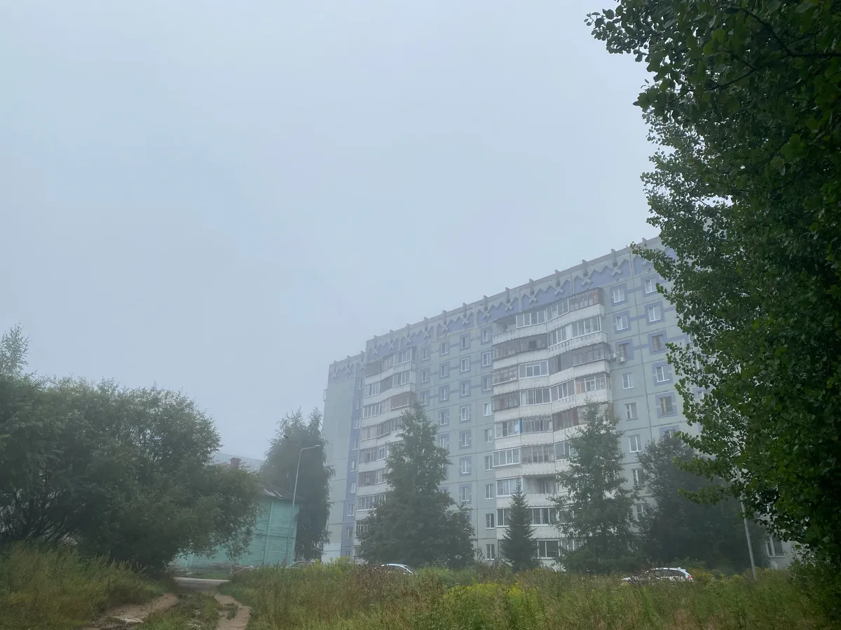 Колючий антициклон накрыл Южный Урал: челябинцев предупредили о ночных заморозках и утренних туманах