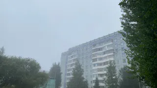 Челябинская область встретит неделю с дождями и ощутимым понижением температуры