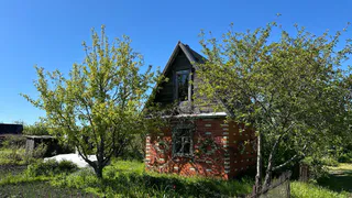 Самый вредный и опасный овощ после картофеля: летом мы едим его каждый день всей семьей. Угробите свое здоровье