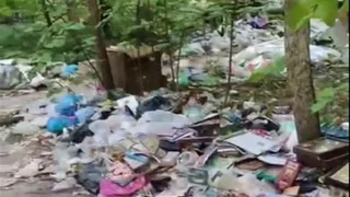 В Арбековском лесу Пензы обнаружили свалку с иконами и нательными крестами